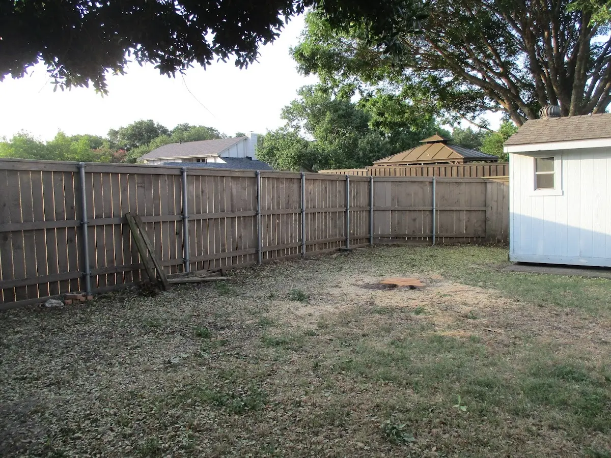 Cleared yard after professional tree removal in Mondovi